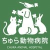アクセス | ちゅら動物病院 | 札幌市北区、西区、手稲区、石狩市からアクセス良好、新